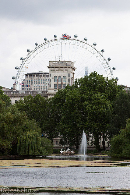 View from St. James Park (London). I used this angle to frame the buildings inside the London Eye. While horizontal photos are the most natural for landscapes and cityscapes, sometimes vertical compositions work well.