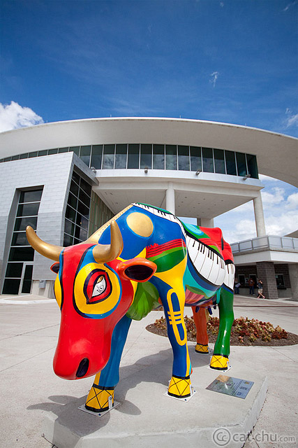 Long Center (Austin, TX). Wide angles can exaggerate distances, which makes the cow's head look closer and bigger than it really is.